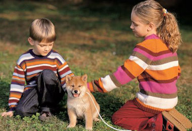 Children playing with Shiba Inu puppy