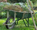 wheelbarrow with garden waste