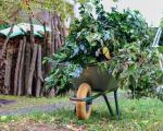 Garden Waste Renewal 2026