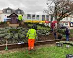 WSM Floral Clock Replanting 