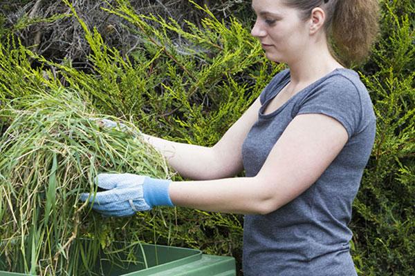 woman wearing garden gloves putting large clump of grass into a garden waste bin