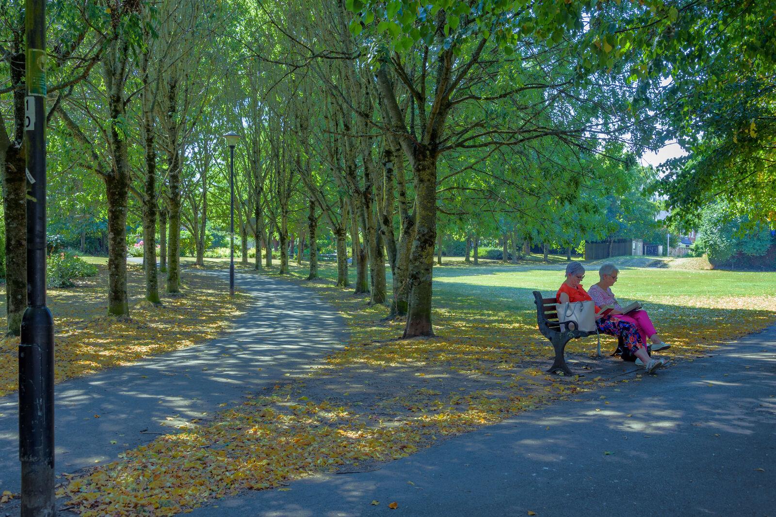 Two people sat on a bench next to a path under trees in Millennium Park, Nailsea