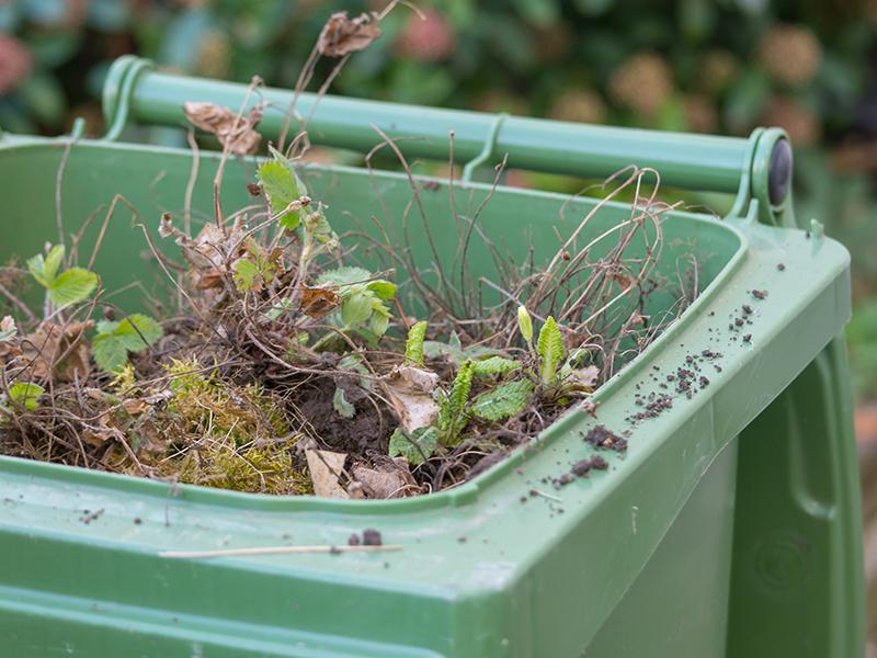 a green bin full of garden waste