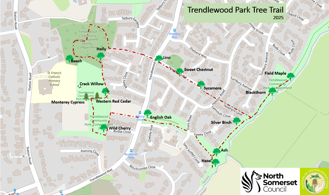 Tree Trail map
