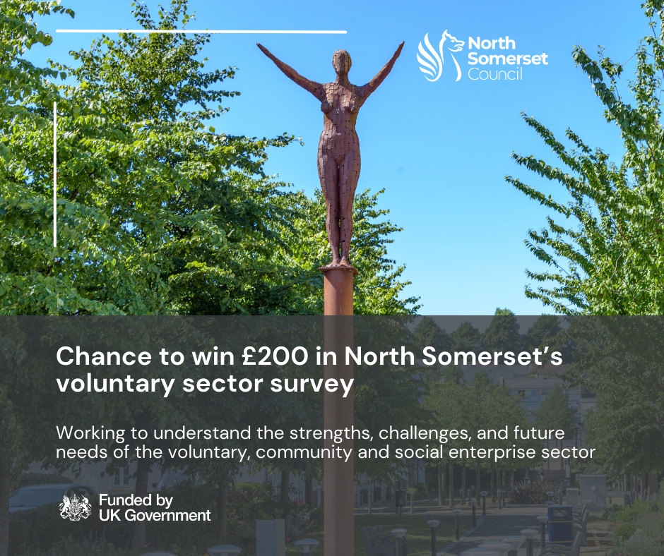 Chance to win £200 in North Somerset’s voluntary sector survey