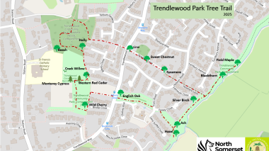 Tree Trail map